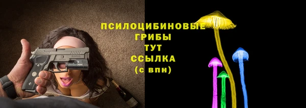 спиды Алагир
