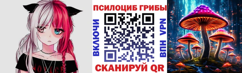 Галлюциногенные грибы Psilocybine cubensis  Вилюйск 
